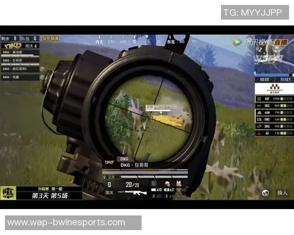 和平精英RNG战队的战术调整与成绩变化分析 和平精英RNG战队的战术调整与成绩变化分析