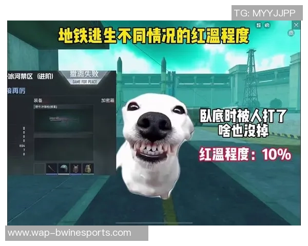 揭秘和平精英成功背后的故事与周强的独特见解